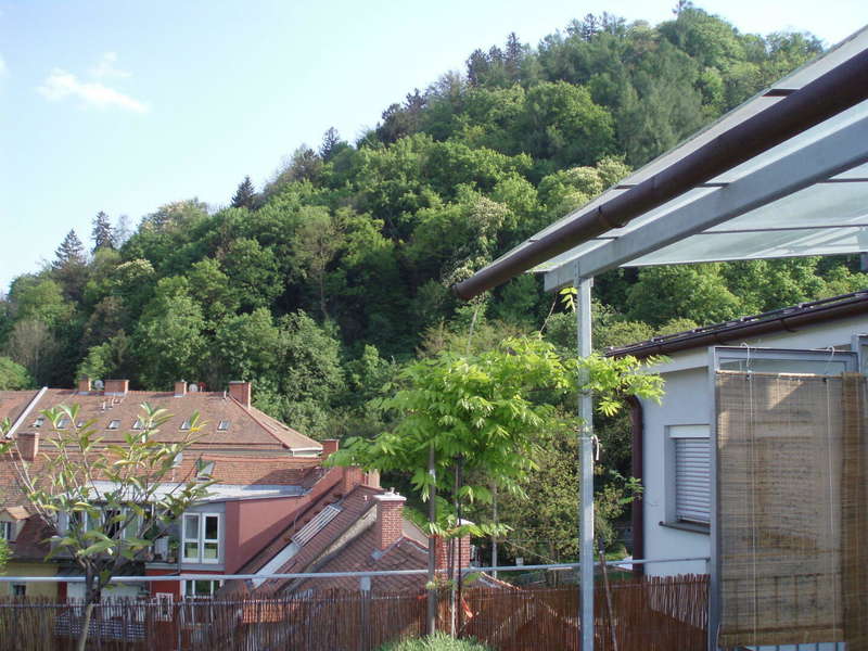 Blick von der Terrasse - Bild 30 von 73 Maisonette in 8010 - 30