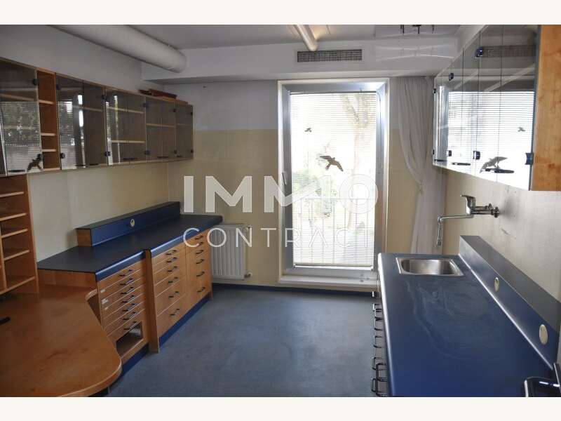 Büro/Praxis in 3100  - 8