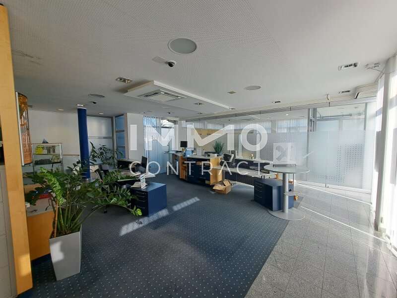 20250318 143123 - Bild 5 von 12 Büro/Praxis in 4481 - 5