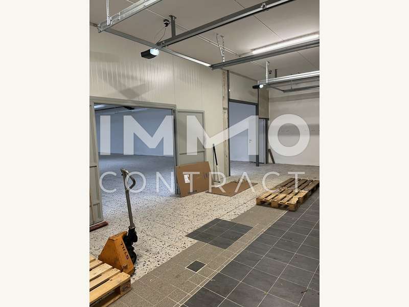 Halle in 7132  - 9