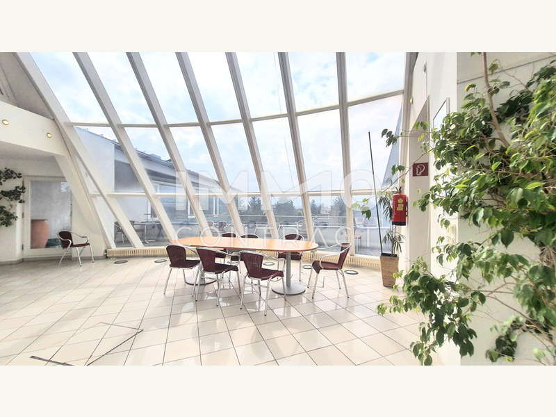 20250401 113036 neu - Bild 5 von 7 Büro in 2380 - 5