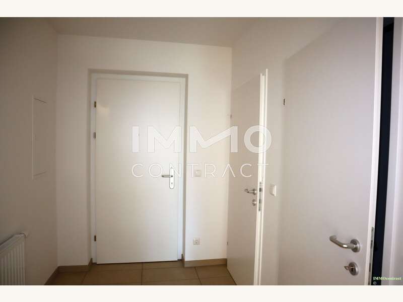 IMG 0034 - Doppelhaushälfte St. Leonhard am Forst - Bild 17 von 26 Doppelhaushälfte in 3243 - 17