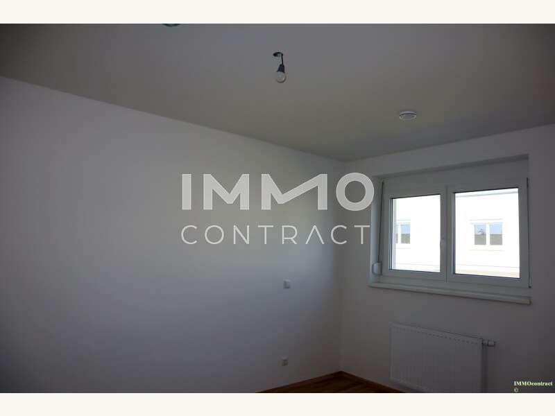 IMG 0074 - Doppelhaushälfte St. Leonhard am Forst - Bild 13 von 24 Doppelhaushälfte in 3243 - 13