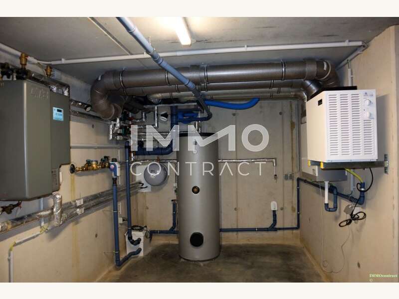 IMG 0079 - Doppelhaushälfte St. Leonhard am Forst - Bild 20 von 24 Doppelhaushälfte in 3243 - 20