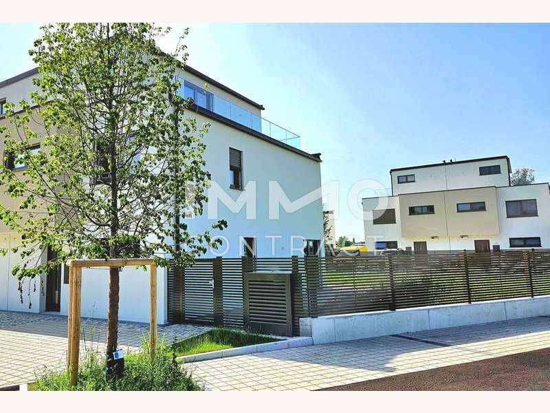 13 1 seitlich - Bild 4 von 11 Doppelhaushälfte in 2486 - 4