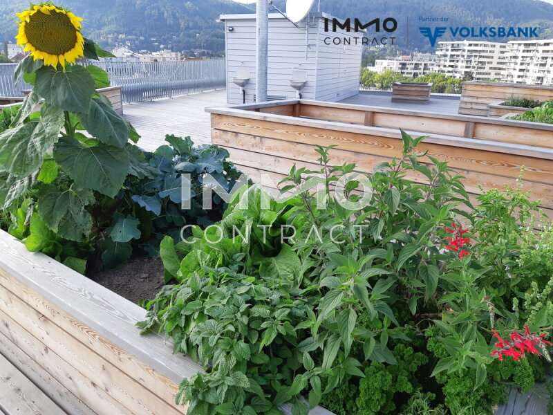 20200923 155759 - Bild 13 von 22 Mietwohnung in 8020 - 13