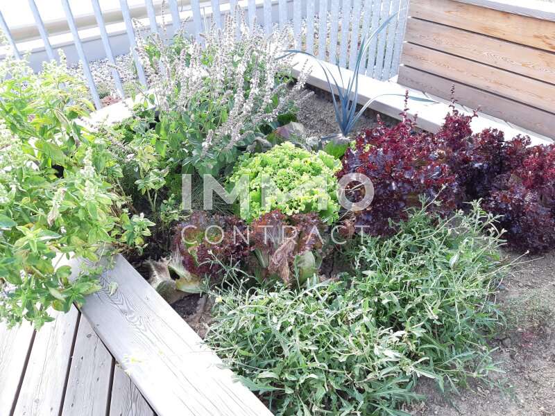 20200923 155922 - Bild 11 von 20 Mietwohnung in 8020 - 11