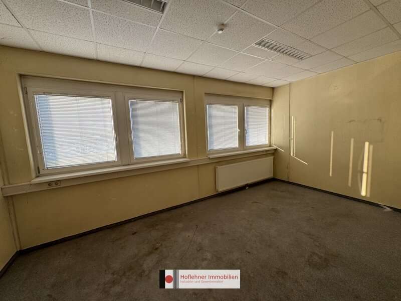 Büro/Praxis in 2351  - 4