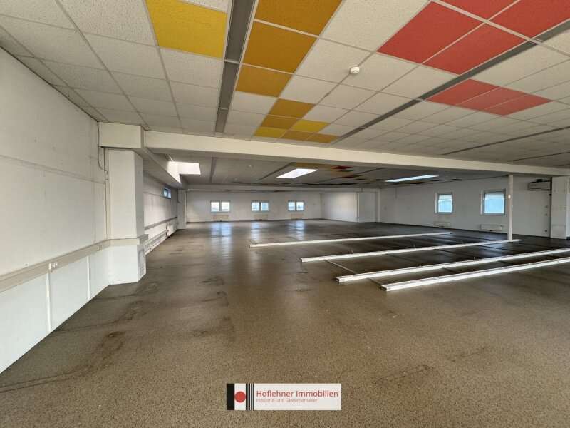 Büro/Praxis in 2351  - 8