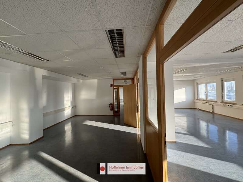 Büro/Praxis in 2351  - 1
