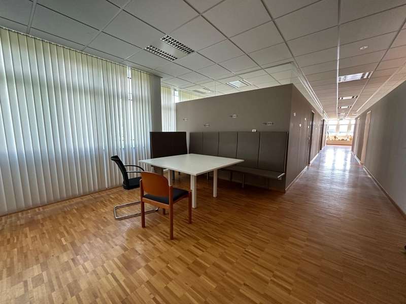 Halle in 4030  - 9