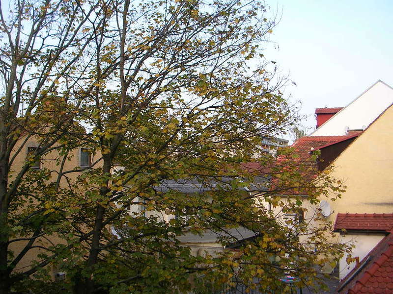 Dachgeschosswohnung in 8010  - 5