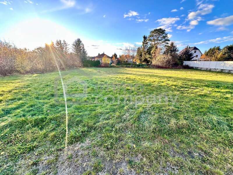 Grundstück - Bild 2 von 8 Baugrundstück in 2291 - 2