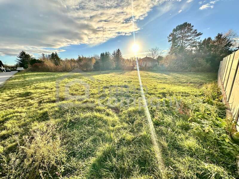 Grundstück - Bild 3 von 8 Baugrundstück in 2291 - 3