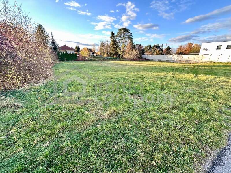 Grundstück - Bild 5 von 8 Baugrundstück in 2291 - 5