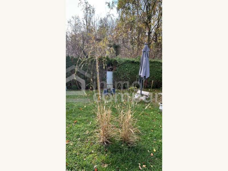 Grundstück in 2291  - 7