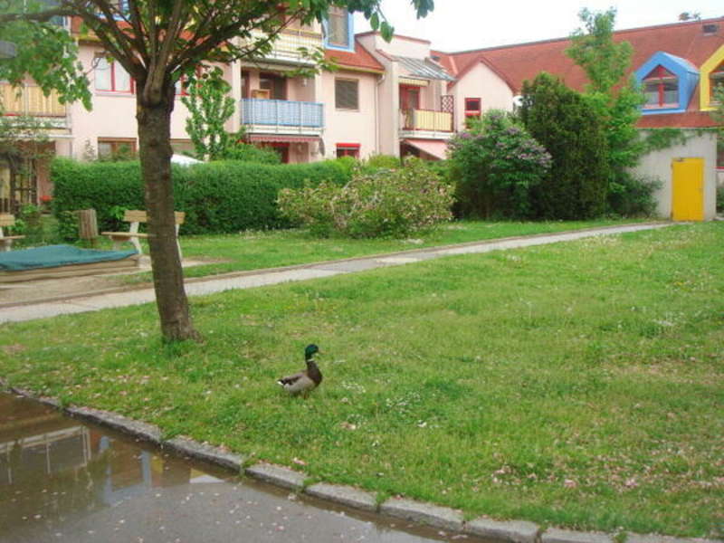 Mietwohnung in 8042  - 1