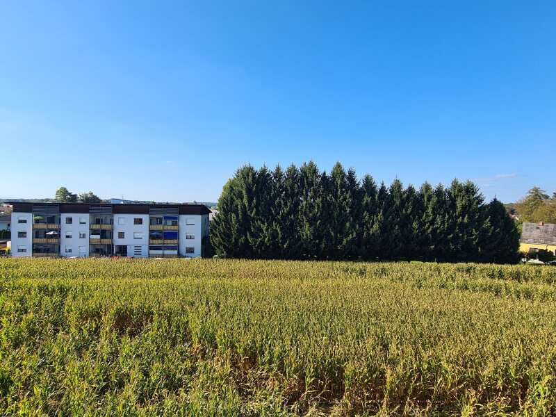 Mietwohnung in 8480  - 12