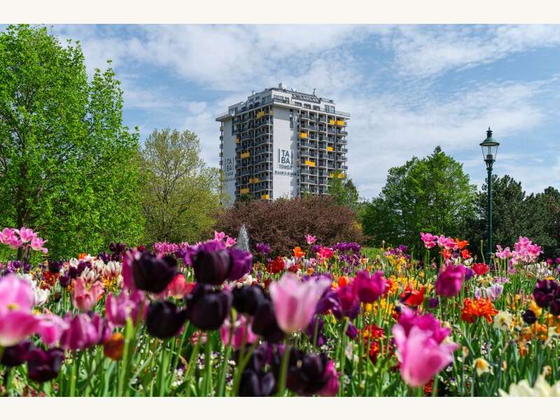 Apartement in 1100  - 17