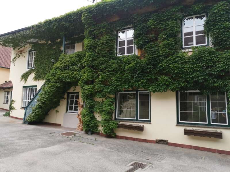 Mietwohnung Neunkirchen - Bild 11 von 12 Mietwohnung in 2620 - 11