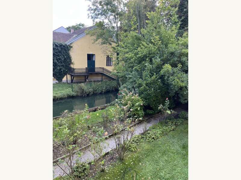 Mietwohnung in 2630  - 22