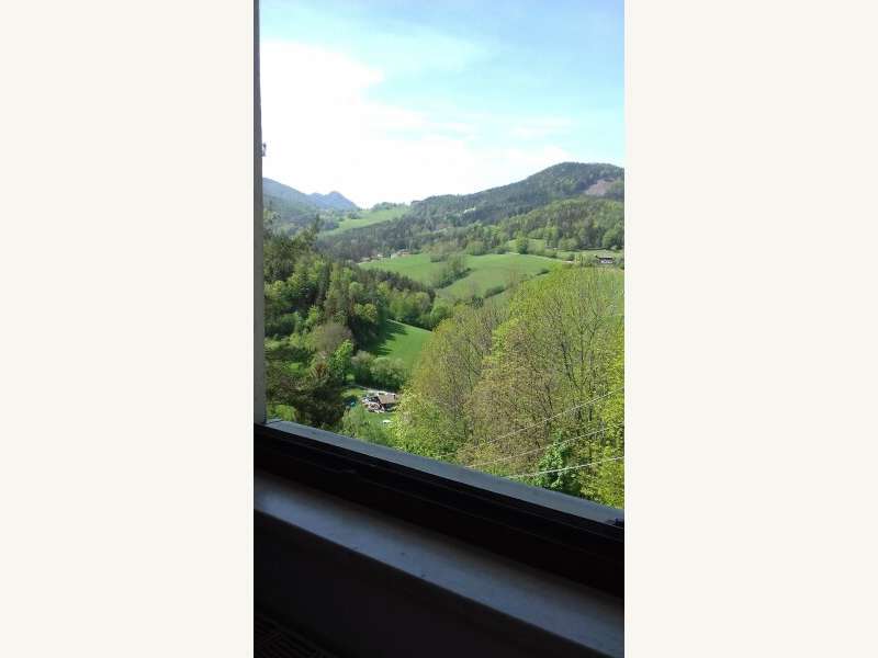 Mietwohnung in 2640  - 2